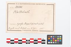 Etikett zu Bronzedoppelspiralnadel (NHMW-PRAE-038880)